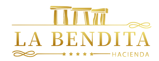 Logo la bendita